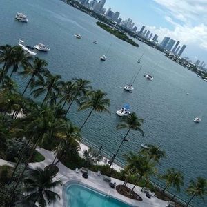 Meet your Posher, Deinis